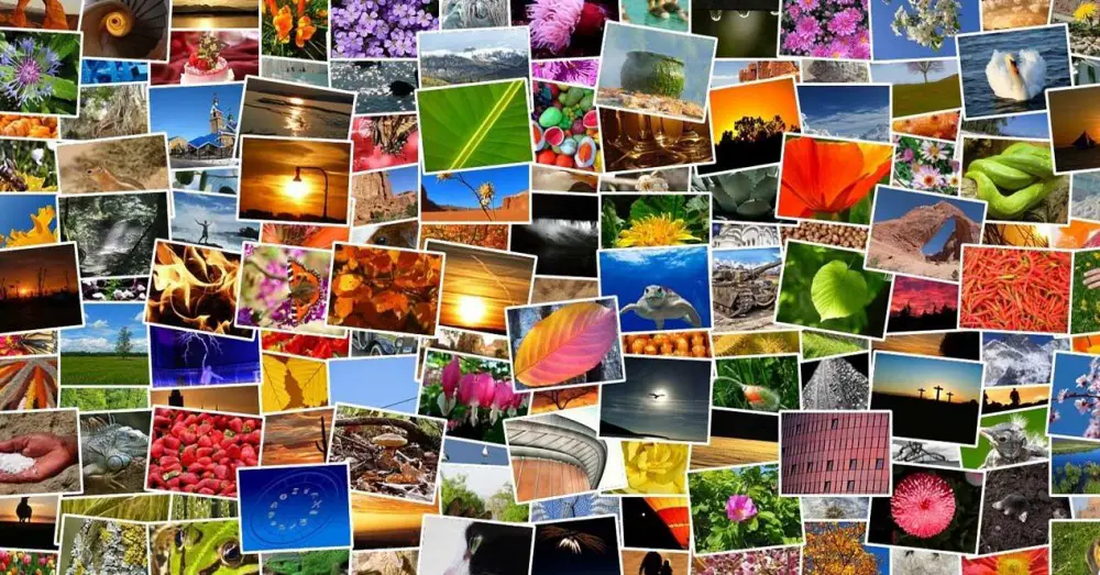 Вырезание, поворот и изменение размера изображения в Paint.NET