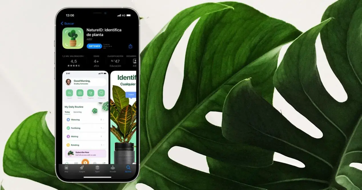 Приложение для определения растений по фото для андроид