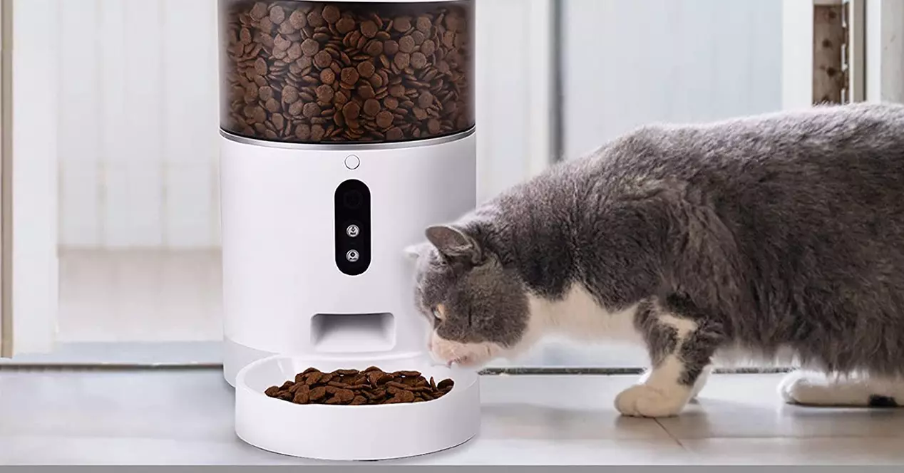 Set 4 Cucchiani Mangiatoia Per Gatti - Flessibili Per Snack E Cibo Umido, Design A Righe - Foto 3