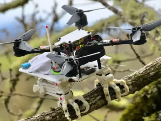 trasforma un drone in un uccello da preda