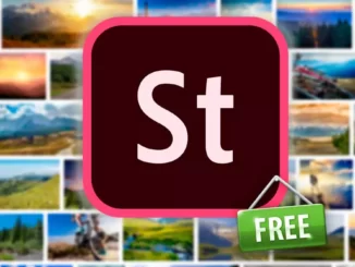 Descărcați imagini și videoclipuri gratuite din Adobe Stock