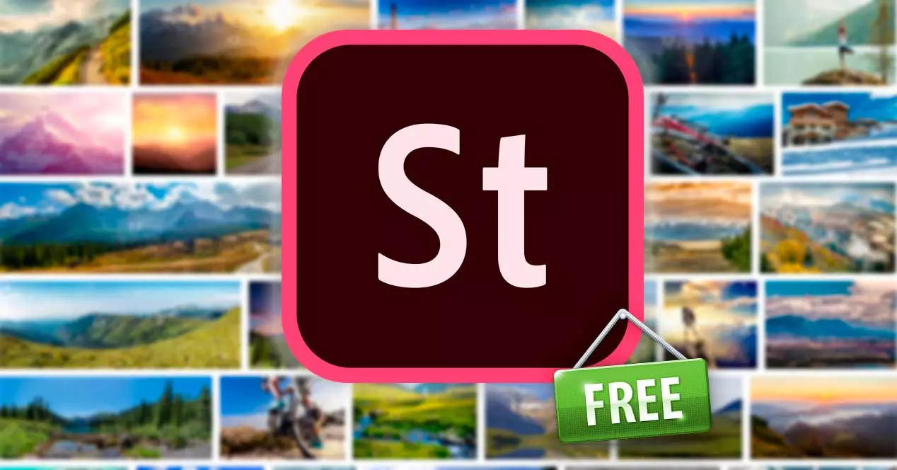 Adobe Stock에서 무료 이미지 및 비디오 다운로드