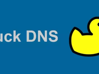 Duck DNS คืออะไร