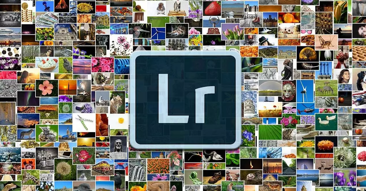 Могу ли я использовать Adobe Lightroom бесплатно