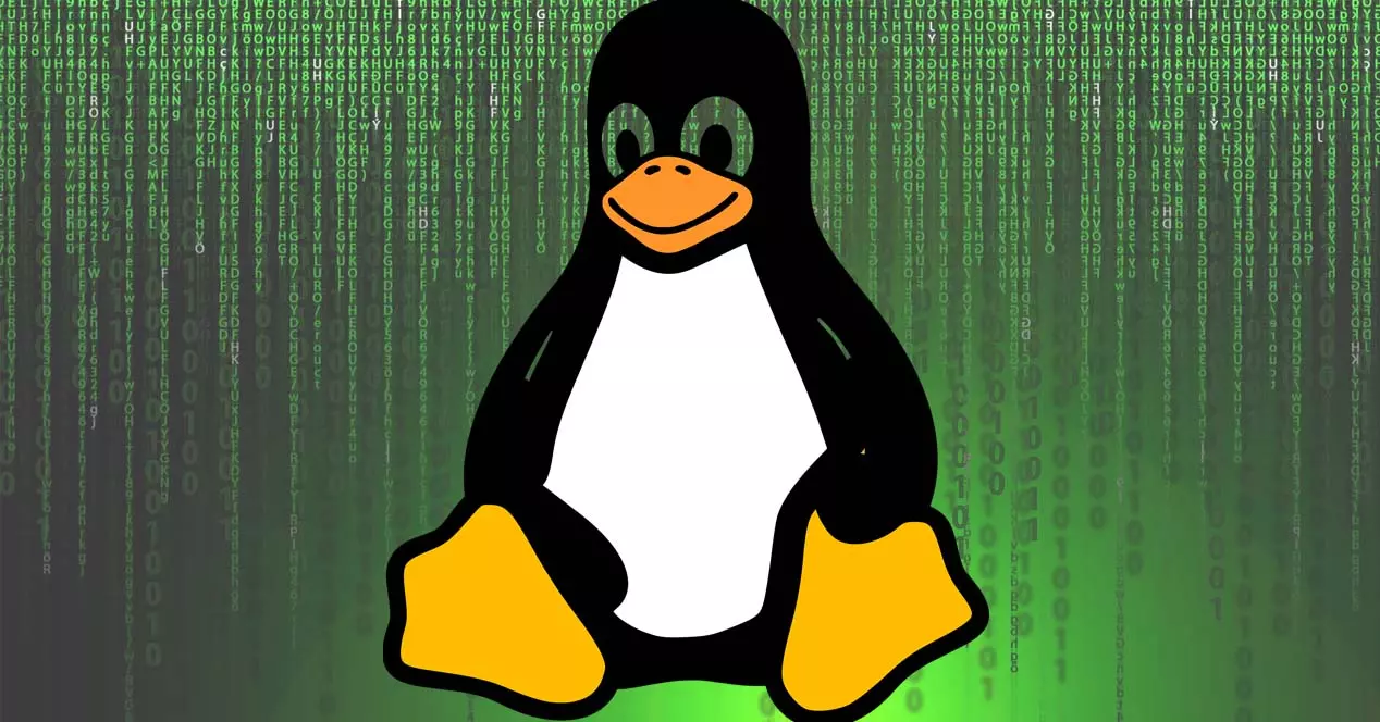Les rançongiciels peuvent-ils affecter les systèmes d'exploitation basés sur Linux