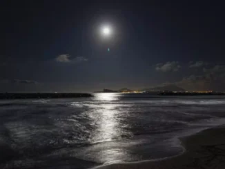 Vad är förhållandet mellan månen och jordens tidvatten