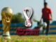 Sehen Sie sich die Weltmeisterschaft in Katar von Ihrem Handy aus an