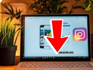 spara Instagram-berättelsen på din dator