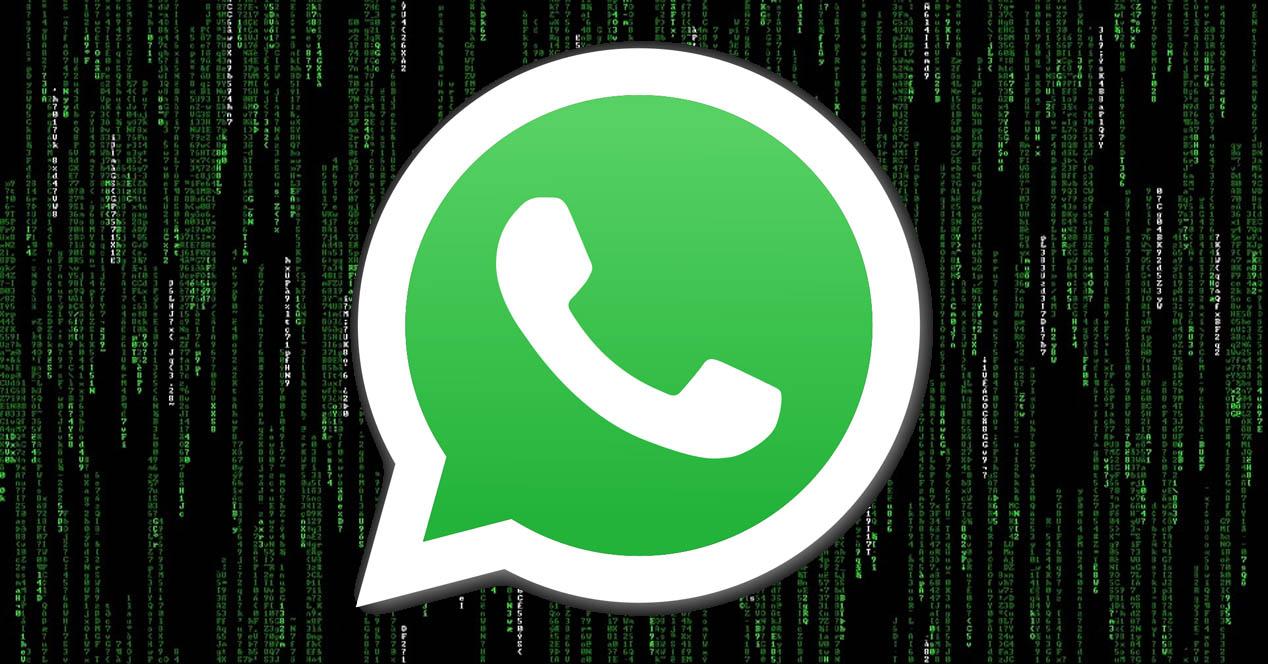 Como você pode ler as conversas do WhatsApp