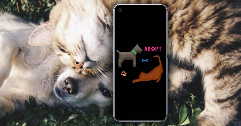 de beste apps om honden en katten te adopteren