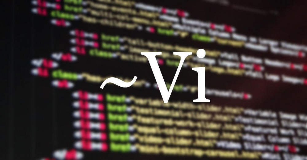 Vi, Terminal Text Editor for Linux